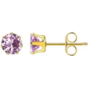 Aramat Jewels Oorbellen - Stalen Oorbellen - Roze Zirkonia - Roestvrij staal - Mannen - Kinderen - [8mm,3mm,4mm,5mm,6mm,7mm]