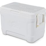 Igloo Marine Contour 25 - Kleine koelbox - 23 Liter - Wit