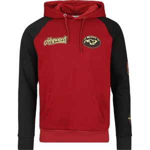 Harry Potter Gryffindor Heren Trui met capuchon - meerkleurig - XXL