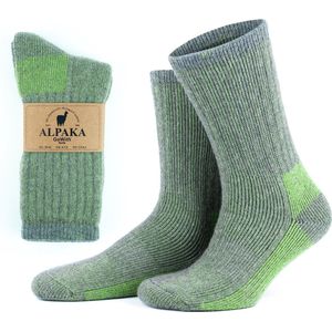 GoWith Diabetes Alpaca Wollen Sokken-2 paar-Thermosokken-Maat 35-38