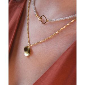 Ava&Imber Rose Petal Ketting Goldplated Stainless Steel (RVS) | Verguld Roestvrijstalen Ketting met Rozenblad Hanger Goud | Gouden Layerketting te Combineren met Kralenketting of Edelsteen Ketting voor Dames