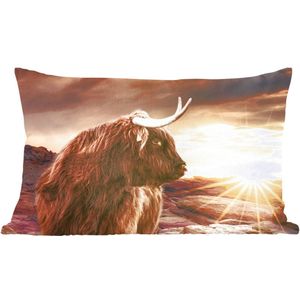 Sierkussens - Kussentjes Woonkamer - 50x30 cm - Schotse hooglander - Zon - Horizon - Koe - Dieren