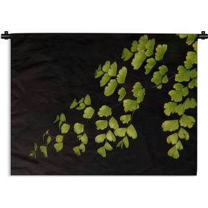 Wandkleed Planten op een zwarte achtergrond - Meerdere venushaar bladeren op een zwarte achtergrond Wandkleed katoen 150x112 cm - Wandtapijt met foto