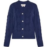 usha - FESTIVAL - Gebreid Vest - Navy - V-hals - Lange Mouw