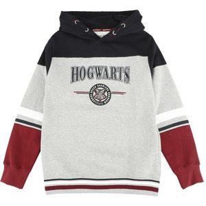 Harry Potter Kids - Hogwarts - England Made Jongens & meisjes Trui met capuchon - meerkleurig - 164