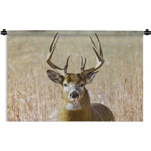 Wandkleed - Wanddoek - Hert - Gras - Herfst - Dieren - Natuur - Gewei - 120x80 cm - Wandtapijt