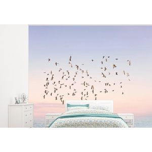 Vogels - Zee - Lucht - Natuur - Zomer - Behangpapier