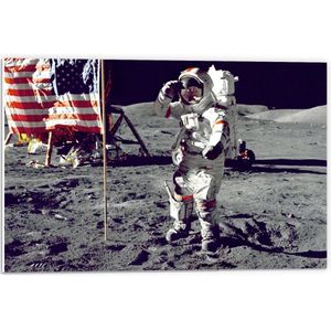 Forex - Eerste Maanlanding met Vlag - 60x40cm Foto op Forex