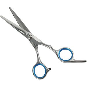 Scoby - Kappersschaar - Ergonomische Schaar - Professional Hair Scissors - 17 CM - Blauw/Zilver