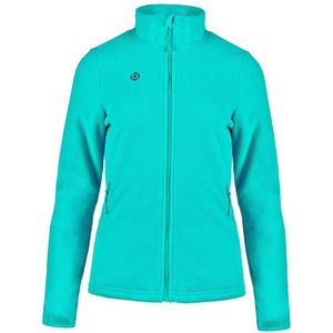 Izas Roncal W Fleece Groen XS Vrouw