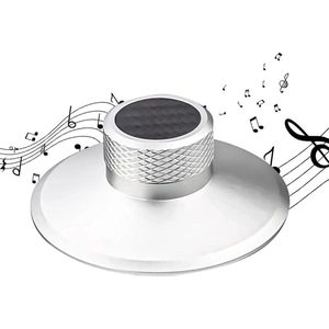 Vinyl grammofoonplaat gewicht stabilisator 130 gram zilver