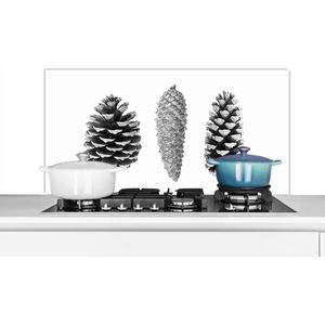 Spatscherm keuken 100x50 cm - Kookplaat achterwand Dennenappels - Natuur - Zwart wit - Wit - Herfst - Muurbeschermer - Spatwand fornuis - Hoogwaardig aluminium