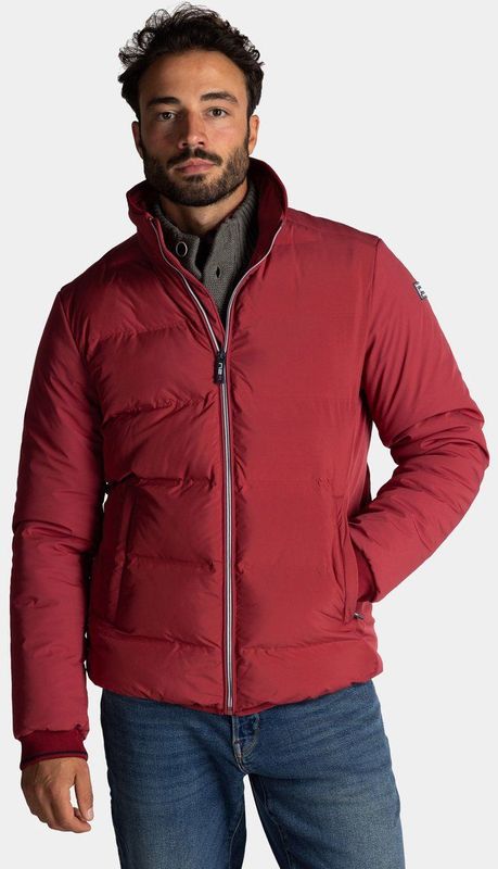 NZA New Zealand - 25HN811 - Gewatteerde Jas