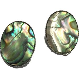Petra's Sieradenwereld - Clipoorbel abalone schelp
