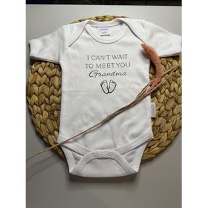 Romper - Gepersonaliseerd - Can’t Wait To Meet You - Wit - Maat 62/68 - Grandma - 100% Katoen