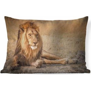 Sierkussens - Kussen - Close-up leeuw in de savanne - 60x40 cm - Kussen van katoen
