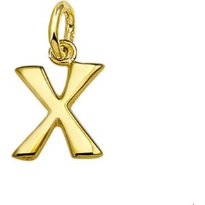 Huiscollectie Bedel Letter X Goud