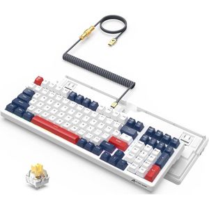 Compact Mechanisch Gamingtoetsenbord met RGB Achtergrondverlichting en Hot-Swappable Switches