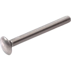 Slotbout RVS M10x120mm, 25 stuks