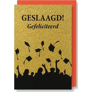 MGPcards - 6 Wenskaarten met gekleurde envelop - Geslaagd - Gefeliciteerd - 11,5 x 17 cm