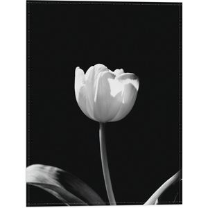 WallClassics - Vlag - Witte Tulp - Zwart Wit - 30x40 cm Foto op Polyester Vlag