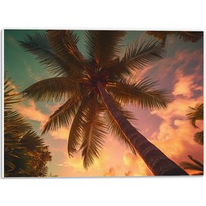 PVC Schuimplaat- Onderaanzicht - Palmbomen - Kleuren - 40x30 cm Foto op PVC Schuimplaat