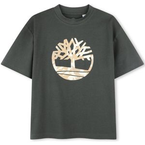 Timberland - T-Shirt Mountain print - Groen - Maat 128