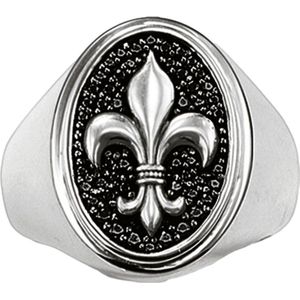 Thomas Sabo - TR1803-051-11-58 - Ring - Zilver - Zirconia