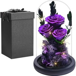 Eeuwige roos onder bel, echte roos, cadeau voor vrouwen, mooie en het beest geconserveerde roze bloem, roze onder koepelglas met ledlicht, verjaardag, Valentijnsdag, feest, cadeau voor vriendin