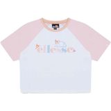Ellesse Gambulli Cropped T-shirt Met Korte Mouwen Wit 13-14 Years Meisjes