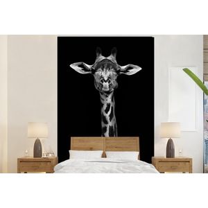 Giraffe - Dieren - Portret - Zwart