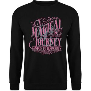 Harry Potter Perron 9 ¾ Ontwerp In Roze & Blauw Sweater Heren