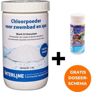 Interline Chloorshock 1 kg - Inclusief 25 chloor & pH teststrips - Chloorgranulaat voor zwembad - Chloorshock - Inclusief doseerschema