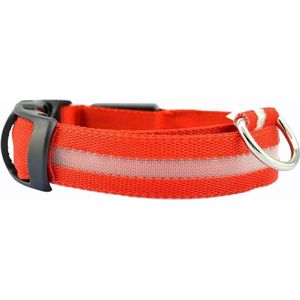 Lichtgevende Halsband LED Maat L 41 - 52 cm USB Oplaadbaar Hondenhalsband Puppy Riem - Rood Hond Dog Kat Kitten Cat - Dutchwide