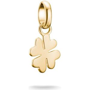 Thomas Sabo - CC1202-413-39 - Charm-hanger - Geel Goud - Bedels & Kralen