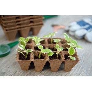 2 stuks Turfpottrays H5x4x4cm set a 6 trays van 12 stuks