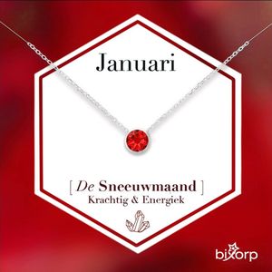 Bixorp Geboortesteen Ketting Januari - Zilverkleurig Roestvrij Staal met Zirkonia Hanger - Stainless Steel - Granaat