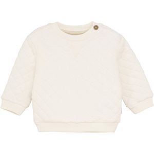 Noppies Trui Semmes Baby Maat 50