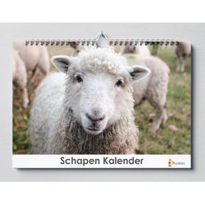 Cadeautip! Schapen kalender 35x24 cm | Schapen kalender| Kalender 35 x 24 cm