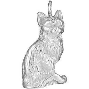 Bijzondere grote zilveren bedel van een zittende kat