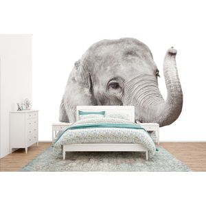 Olifant - Dieren - Grijs - Natuur - Behangpapier