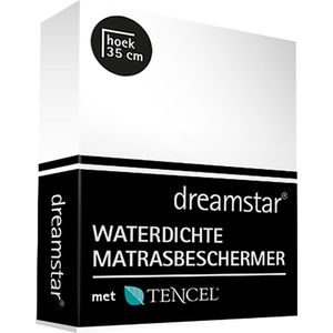 Dreamstar Waterdichte Matrasbeschermer Tencel 90x200