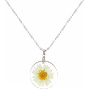 Fako Bijoux® - Ketting - Gedroogde Bloem - Acryl - Wit