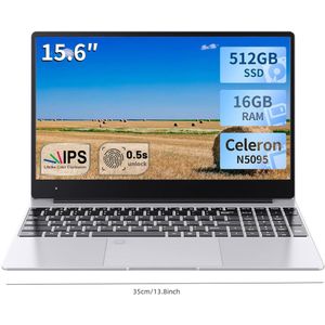 Laptop - 15.6 inch - Intel Celeron N5095 - 16 GB RAM - 512 GB SSD - Grijs - Windows 11