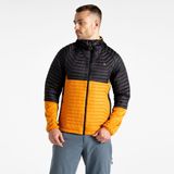 Dare 2B - Descending II - Donsjack - Hybride Mix van Gerecycled Polyester - Capuchon met STRETCH Rand