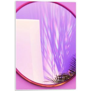 Forex - Roze Spiegel met Grassen - 40x60cm Foto op Forex