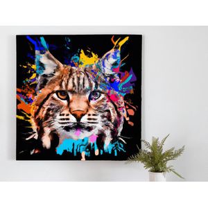 Bobby the bobcat | Bobby the bobcat | Kunst - 100x100 centimeter op Forex | Foto op Forex