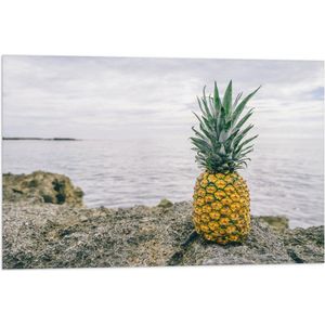 Vlag - Ananas - Rotsen - Zee - Golven - 75x50 cm Foto op Polyester Vlag