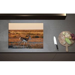 Inductieplaat Beschermer - Achterkant van Antilope in Landschap, Afrika - 70x52 cm - 2 mm Dik - Inductie Beschermer - Bescherming Inductiekookplaat - Kookplaat Beschermer van Wit Vinyl