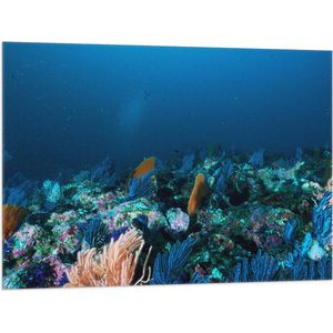 WallClassics - Vlag - Koraal onder Water - 100x75 cm Foto op Polyester Vlag